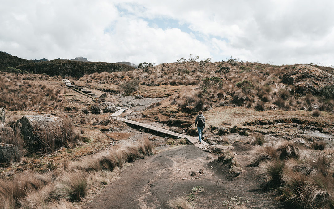 Eine Wanderung im Cajas Nationalpark: Tagesausflug 30 km von Cuenca