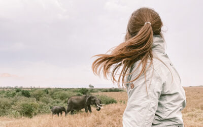 Budget Safari in der Maasai Mara für unter 200€ in Kenia